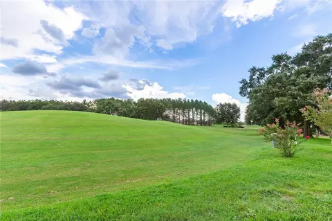 Exterior - 1545 N Dimaggio Path, Hernando, FL 34442 photo 4 of 6