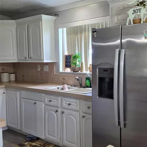 12408 Elnora Dr, Riverview, FL 33579 photo 5