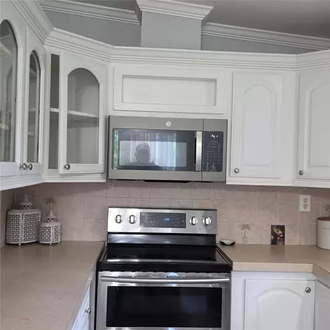 12408 Elnora Dr, Riverview, FL 33579 photo 4