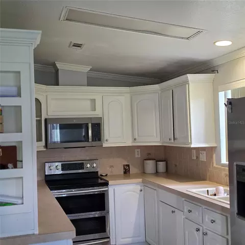 12408 Elnora Dr, Riverview, FL 33579 photo 3