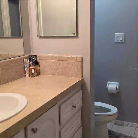 12408 Elnora Dr, Riverview, FL 33579 photo 9