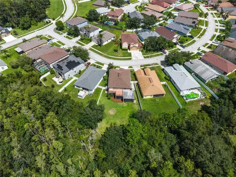 View/Area - 4522 Mapletree Loop, Wesley Chapel, FL 33544 photo 2 of 7