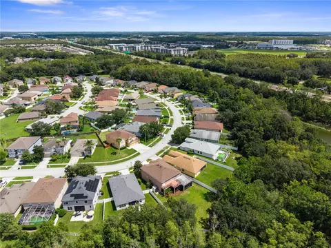 View/Area - 4522 Mapletree Loop, Wesley Chapel, FL 33544 photo 4 of 7