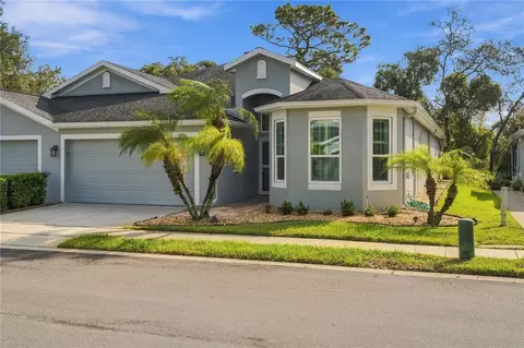 10719 Ashford Oaks Dr, Tampa, FL 33625
