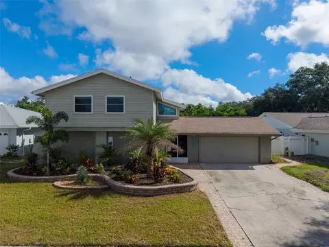 3992 Orchard Hill Cir, Palm Harbor, FL 34684