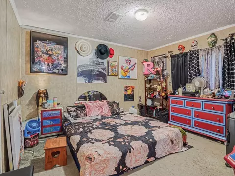 Bedroom - 11121 Lithia Pinecrest Rd, Lithia, FL 33547 photo 2 of 2