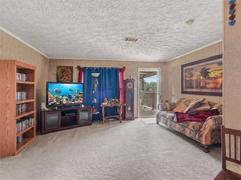 Living - 11121 Lithia Pinecrest Rd, Lithia, FL 33547 photo 1 of 2