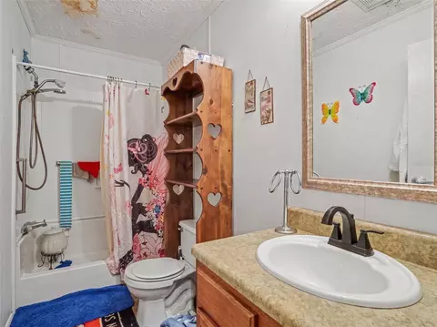 Bath - 11121 Lithia Pinecrest Rd, Lithia, FL 33547 photo 2 of 2