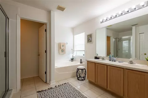 Bath - 10823 Hoffner Edge Dr, Riverview, FL 33579 photo 2 of 6