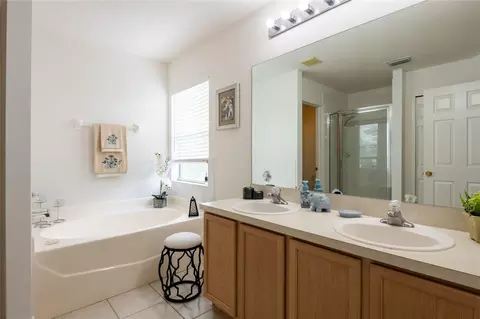 Bath - 10823 Hoffner Edge Dr, Riverview, FL 33579 photo 4 of 6