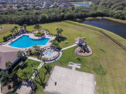 View/Area - 10823 Hoffner Edge Dr, Riverview, FL 33579 photo 4 of 5