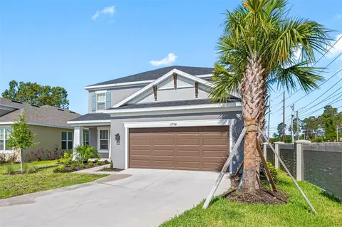 2788 Leafwing Ct, Palm Harbor, FL 34683