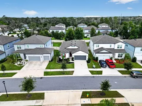 View/Area - 14114 Samoa Hill Ct, Riverview, FL 33569 photo 1 of 3