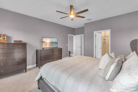 6213 114th Ave E, Parrish, FL 34219 photo 23