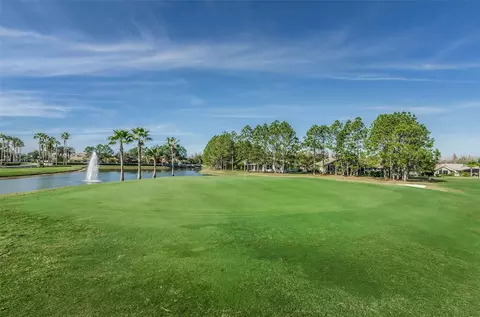 Other - 1202 Wolford Dr, Trinity, FL 34655 photo 13 of 15