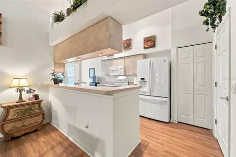 Kitchen - 1202 Wolford Dr, Trinity, FL 34655 photo 1 of 3