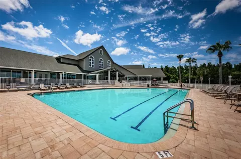 Exterior - 1202 Wolford Dr, Trinity, FL 34655 photo 12 of 15