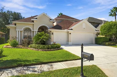 23442 Vistamar Ct, Land O Lakes, FL 34639