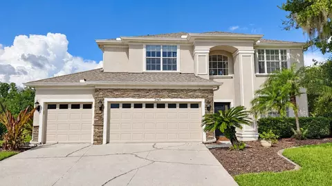 27015 Firebush Dr, Wesley Chapel, FL 33544