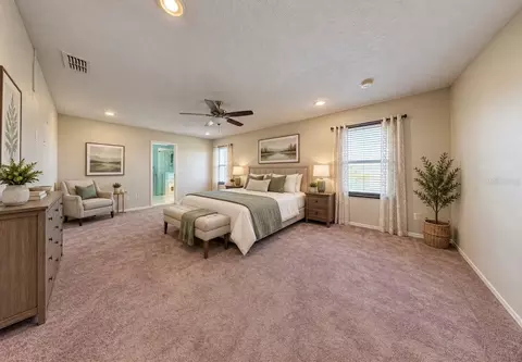 Bedroom - 337 Star Shell Dr, Apollo Beach, FL 33572 photo 1 of 4
