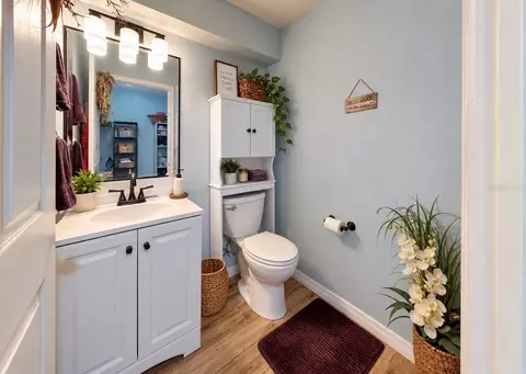 Bath - 337 Star Shell Dr, Apollo Beach, FL 33572 photo 5 of 5