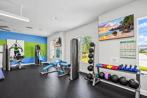 View/Area - 3820 Shimmering Oaks Dr, Parrish, FL 34219 photo 17 of 29