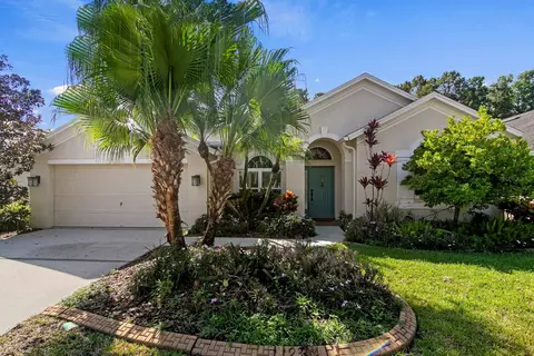 12304 Wycliff Pl, Tampa, FL 33626