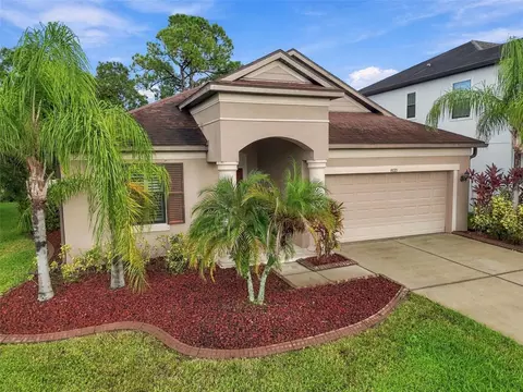 8021 Whitetail Deer Way, Tampa, FL 33635
