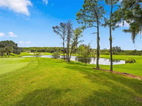 View/Area - 1023 Almondwood Dr, New Port Richey, FL 34655 photo 3 of 23