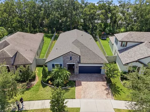 View/Area - 10443 Alcon Blue Dr, Riverview, FL 33578 photo 1 of 7