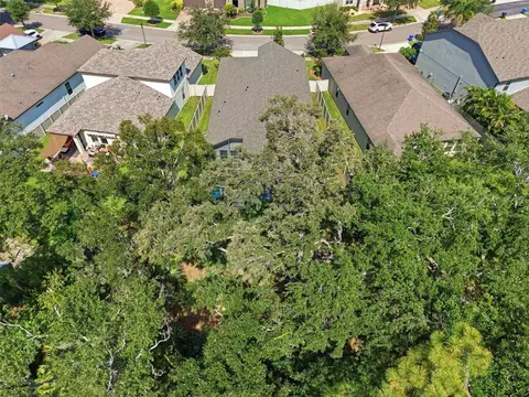 View/Area - 10443 Alcon Blue Dr, Riverview, FL 33578 photo 3 of 7