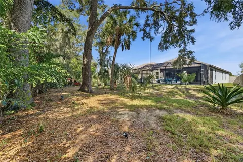 Exterior - 10443 Alcon Blue Dr, Riverview, FL 33578 photo 8 of 9
