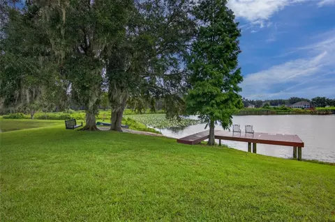 Other - 906 Retriever Ave, Seffner, FL 33584 photo 16 of 18