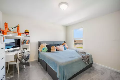 Bedroom - 13157 Peachleaf Ave, Riverview, FL 33579 photo 4 of 4