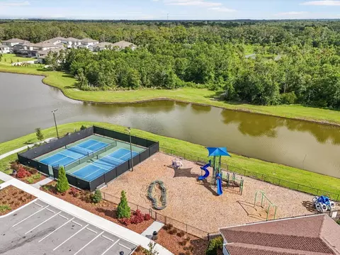 View/Area - 13157 Peachleaf Ave, Riverview, FL 33579 photo 2 of 2