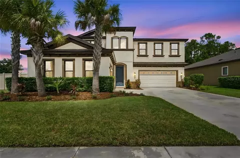 21903 Woodshadow Way, Land O Lakes, FL 34637