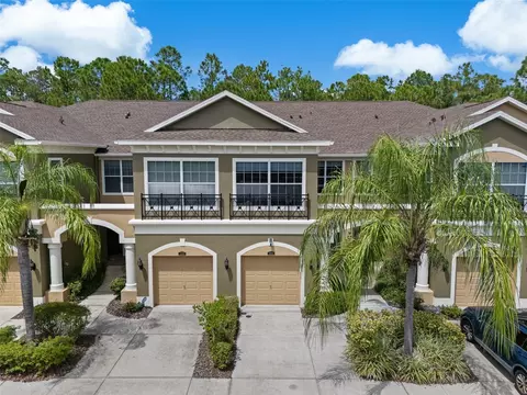 12612 Silverdale St, Tampa, FL 33626