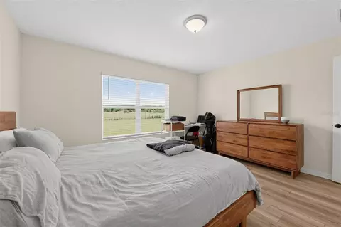 Bedroom - 11728 Firespike St, Riverview, FL 33578 photo 2 of 11