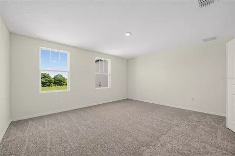 Bedroom - 30161 Emerald Forest Dr, Mount Dora, FL 32757 photo 5 of 5