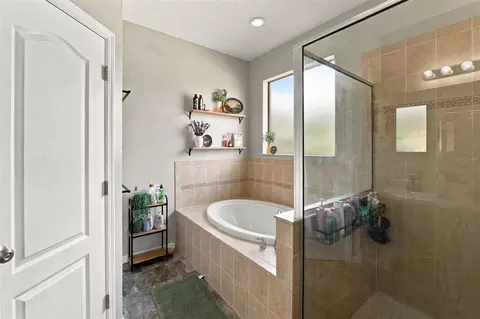 Bath - 9808 Carr Rd, Riverview, FL 33569 photo 2 of 5