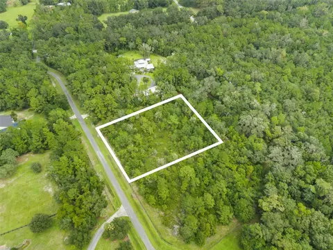 12563 SW 17th Dr, Micanopy, FL 32667