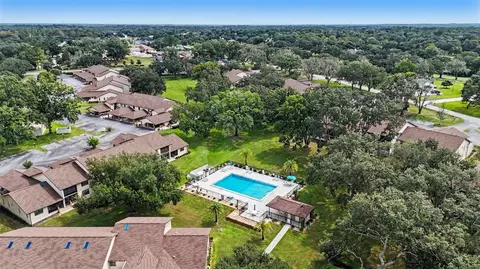 View/Area - 175 E Hartford St #5A, Hernando, FL 34442 photo 3 of 5