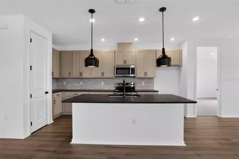 Kitchen - 30134 Emerald Forest Dr, Mount Dora, FL 32757 photo 2 of 4
