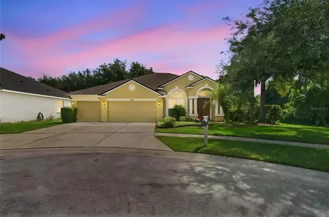 21444 Cormorant Cove Dr, Land O Lakes, FL 34637