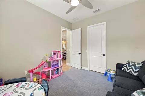 Other - 14245 Skipping Stone Loop, Parrish, FL 34219 photo 7 of 11
