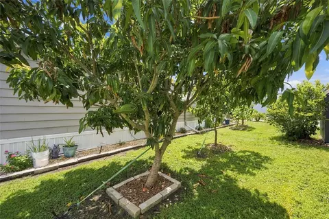 133 S Saint Thomas Cir, Apollo Beach, FL 33572 photo 72