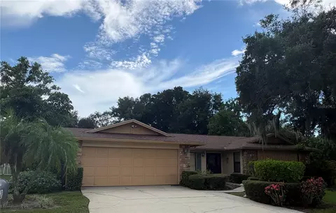 862 Pinewood Ter W, Palm Harbor, FL 34683
