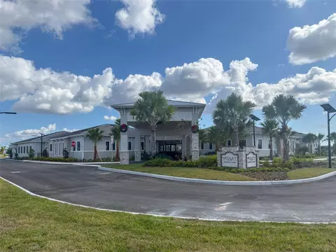 View/Area - 12220 Violet Jasper Dr, Parrish, FL 34219 photo 4 of 7