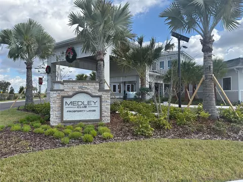 View/Area - 12220 Violet Jasper Dr, Parrish, FL 34219 photo 3 of 7