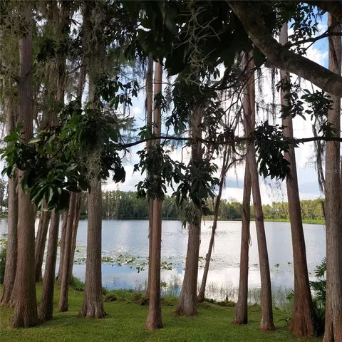 View/Area - 20182 Cot Rd #505, Lutz, FL 33558 photo 2 of 2